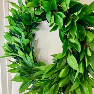 Laurel Wreath for front door, year round all season wreath, farmhouse decor, greenery wreath, summer wreath, cottagecore, myrtle wreath