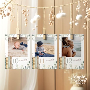 One for the Books Editable First Birthday Monthly Photo Cards Template, 1st Year, Natural Green Botanical Book, Printable, DIGITAL DOWNLOAD