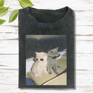 Angry Cat Cool Couple Shirt, Funny Cat Tee, Vintage Cat Shirt, Gen Z Joke Shirt, Stupid Brainrot Gift, Cat Lover Gift, Cool Cat Shirt