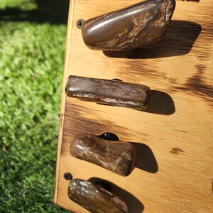 Pu&ograve; includere: Quattro pomelli per armadi in legno fossilizzato di varie forme e dimensioni, montati su una tavola di legno. I pomelli sono di colore marrone chiaro con venature marroni scure.