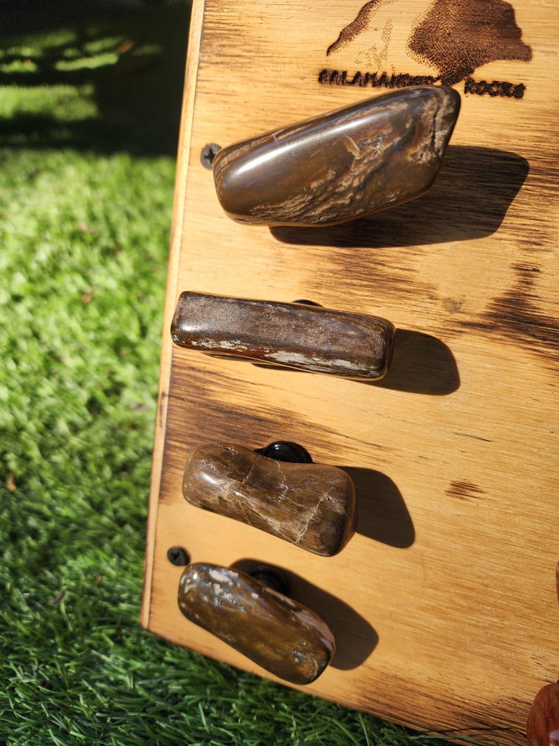 Pu&ograve; includere: Quattro pomelli per armadi in legno fossilizzato di varie forme e dimensioni, montati su una tavola di legno. I pomelli sono di colore marrone chiaro con venature marroni scure.