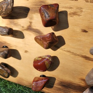 Pu&ograve; includere: Un pannello di legno con il testo "SALAMANDERS & ROCKS" e "CABIN" inciso nel legno. Il pannello ha otto pietre di diversi colori fissate ad esso con viti nere.