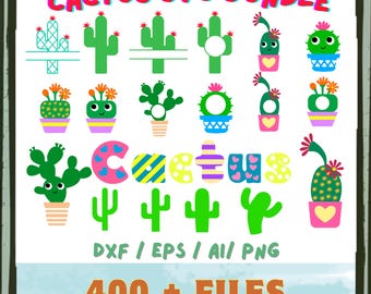 Paquete SVG de cactus: saguaro, suculentas y flores del desierto (diseños PNG)