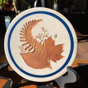 Puede incluir: Posavasos redondo de cerámica con fondo crema y borde azul. Presenta un relieve detallado de un helecho, una hoja de arce y otros elementos botánicos en tonos marrones. El posavasos se exhibe sobre un soporte negro.