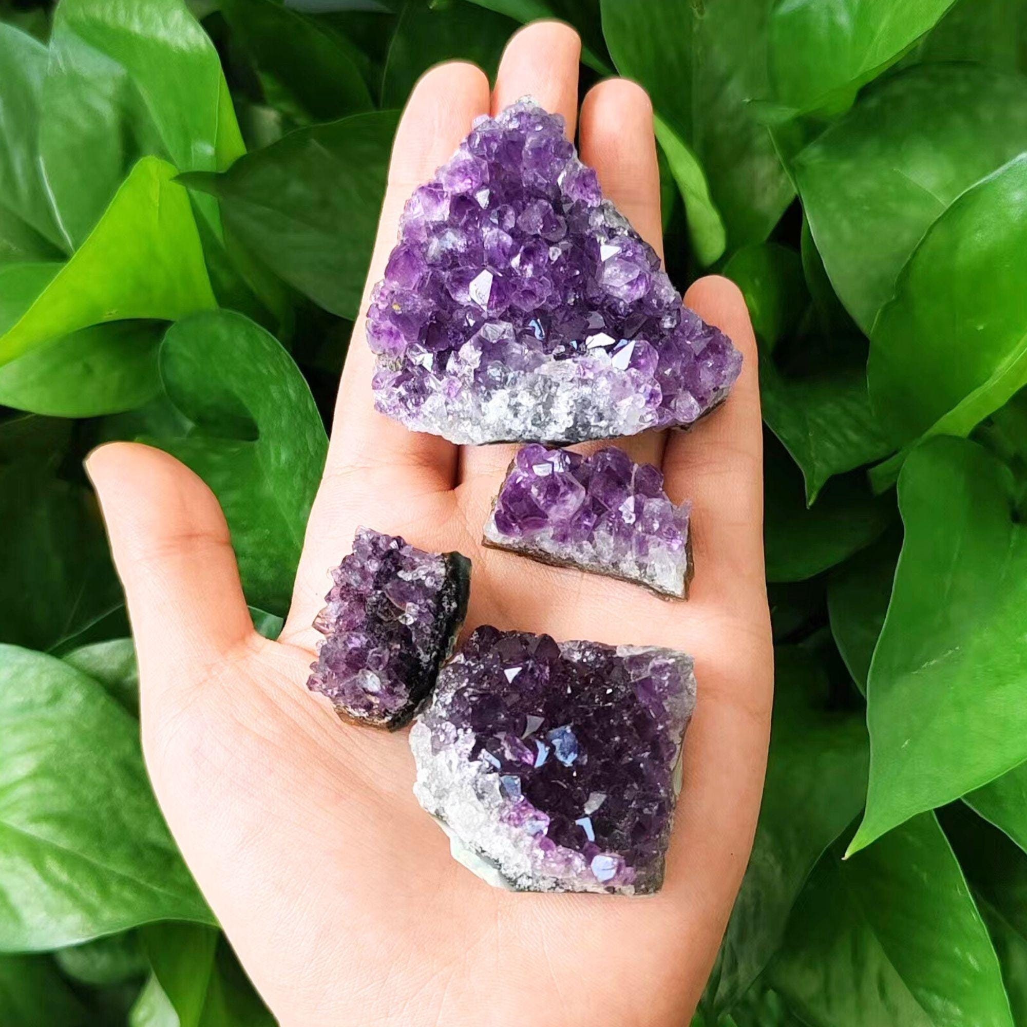 Geode Di Ametista Brasiliana | Cluster Di Cristallo Grezzo Naturale - Foto 14