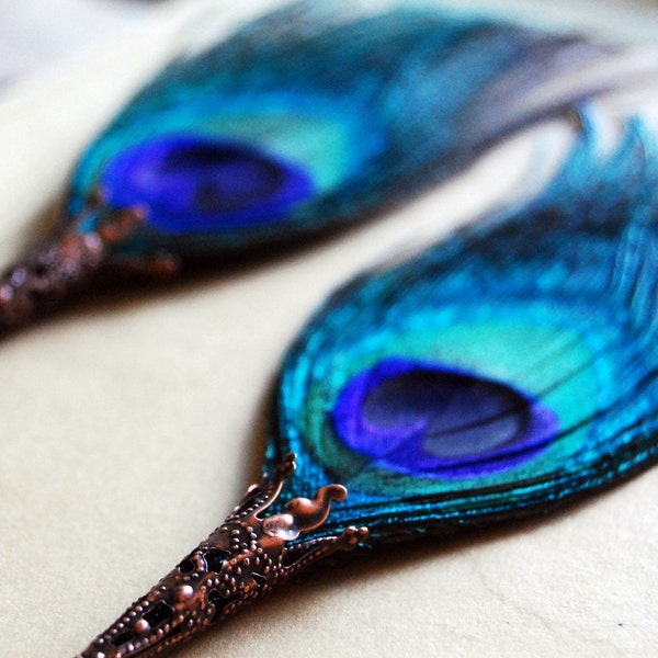 Peacock Feather Earrings