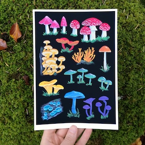 A Pride of Mushrooms Limited Edition Art Print image 1
