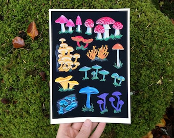 A Pride of Mushrooms - Limited Edition Art Print