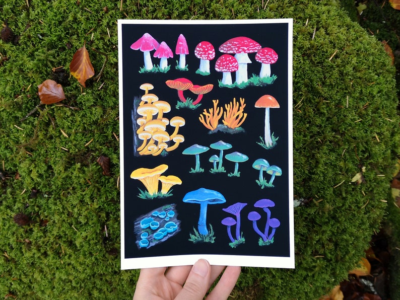 A Pride of Mushrooms Limited Edition Art Print image 1