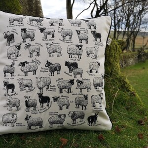 Cushion Covers British Sheep Breeds image 3