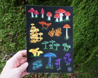 Sticker Sheet - A Pride Of Mushrooms