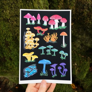 A Pride of Mushrooms Limited Edition Art Print image 4