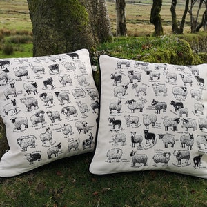 Cushion Covers British Sheep Breeds image 1