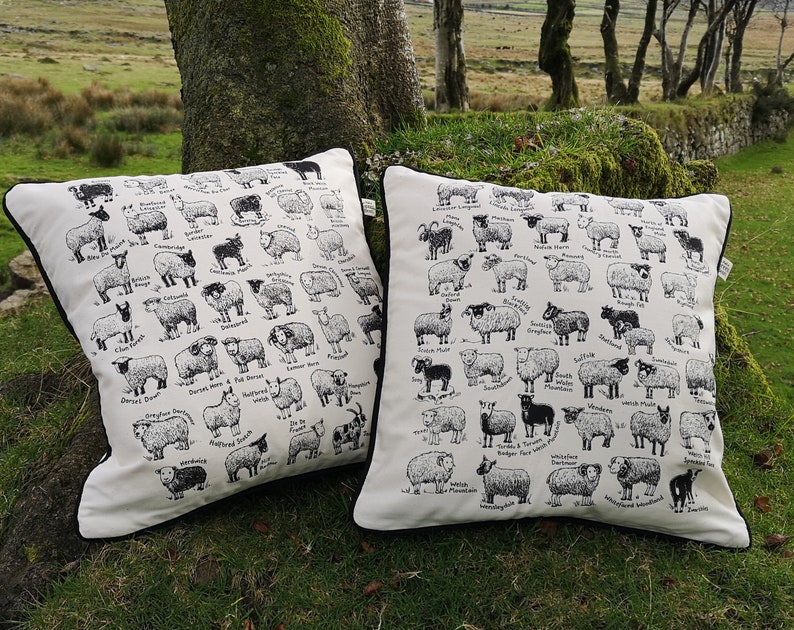 Cushion Covers British Sheep Breeds image 1