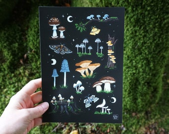 Sticker Sheet - Mushrooms, Moths and Moons