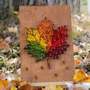 String Art Kit Ahornblatt, Herbst Wanddekoration, Nadelspitzen Kit, Buntes Blatt