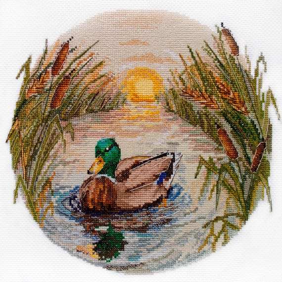 Cross Stitch Kit Evening Swim, Colorful Duck, Bird Embroidery, DIY Mallard Duck