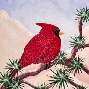 May include: A red cardinal bird perched on a branch of a snow-covered evergreen tree. The background is a soft blue sky with white clouds.
