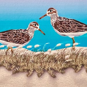 Kunstdruck ACEO Gemälde, Strandläufer, Vögel, Strand, Meer, Meerlandschaft, Miniatur Kunstkarte, Original Grafikdesign Kunstkarte von H Clements