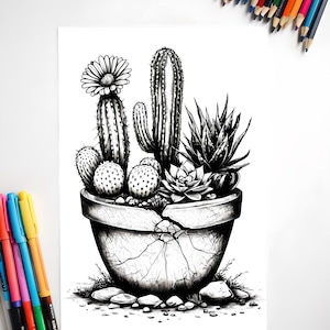 Succulent & Cactus Coloring Pages, Set of 5 Printable Sheets for Adults and Kids | Digital Download Botanical Line Art