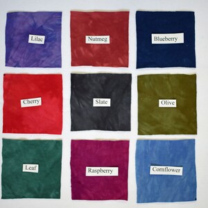 May include: Nine fabric swatches in various colors, including lilac, nutmeg, blueberry, cherry, slate, olive, leaf, raspberry, and cornflower. Each swatch has a label with the color name.