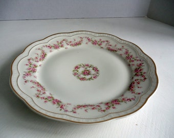 Zeh Scherzer & Co. Bavière festonné rose Wrest321 fond assiette