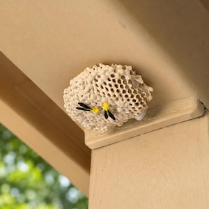 May include: A decorative beige honeycomb structure attached to a tan architectural corner, featuring two small, detailed insects with yellow heads and black wings resting on the textured, porous surface of the artificial nest replica.