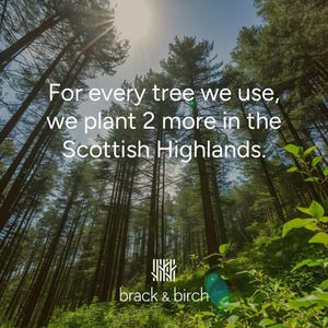 A low-angle view of tall pine trees stretching up to a bright sky, with text that reads For every tree we use, we plant 2 more in the Scottish Highlands.