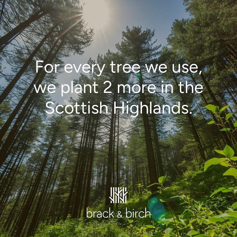 A low-angle view of tall pine trees stretching up to a bright sky, with text that reads For every tree we use, we plant 2 more in the Scottish Highlands.