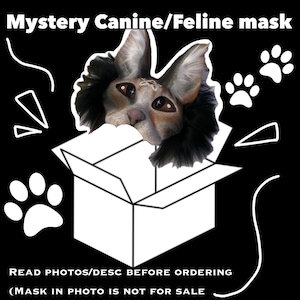 Mystery Therian mask (Read photos/Desc before ordering)