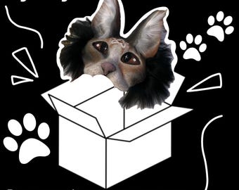 Mystery Therian mask (Read photos/Desc before ordering)