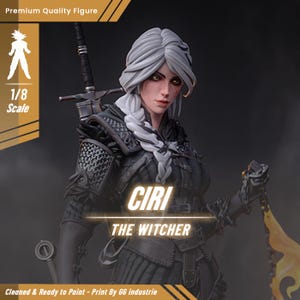 Ciri - The Witcher | Unpainted 3D Printed Resin Garage Kit 14K