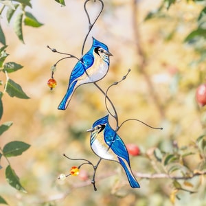 トロント・ステンドグラス Blue Jay ブルージェイ アオカケス アオカケス (Cyanocitta cristata) - Picture Bird