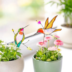 Puede incluir: Dos coloridas estacas de jardín con forma de colibrí están colocadas sobre plantas en macetas. Un colibrí tiene colores verdes, rojos y blancos, mientras que el otro tiene alas naranjas y amarillas. Las plantas están en macetas de cerámica, una beige y otra verde.