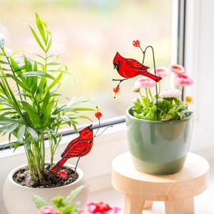 cardinal bird plant decor with warm light