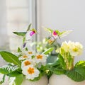 Colorful Hummingbird Plant Stakes Stained Glass Garden Decor Mom Gift