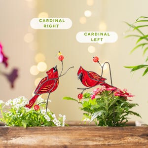 bird lover decor stained glass cardinal
