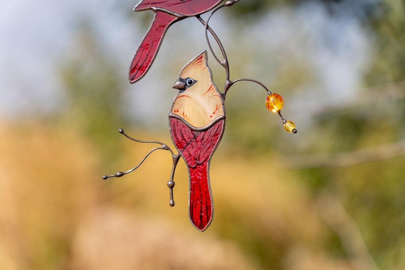 Stained Glass Window Hangings for Cardinal Sympathy