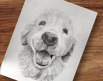 Hand-Drawn Graphite Pet Portrait