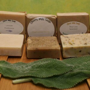 All Natural Handmade Artisan Goat Milk Soap, Lavender Frankincense Honey, Basil Lime Spearmint, Unscented, Chamomile Honey, gently scented
