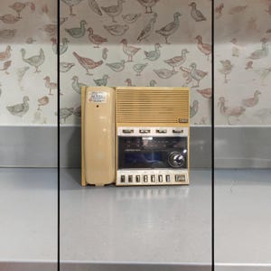 May include: A vintage intercom system in cream and beige tones. The unit features a speaker, radio dial, and several buttons. A matching handset is attached to the side. The background is a wallpaper with a pattern of birds.