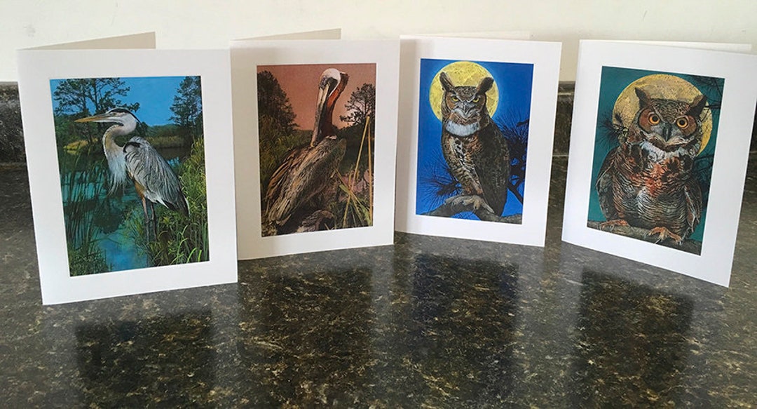 Note Cards, Set of 8 With Envelopes, Blank Inside, Bird Illustrations ...
