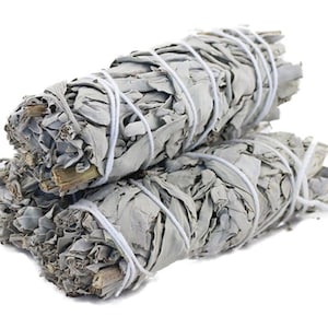 May include: Three bundles of dried white sage, tightly wrapped with white string. The sage leaves are a pale green-gray color, and the bundles are stacked on top of each other against a white background. The image is well-lit and the sage is in focus.