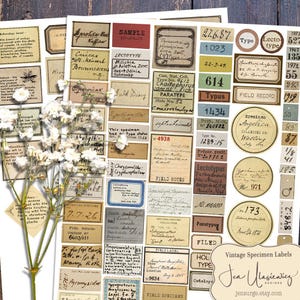 Digitaal collageblad Vintage Specimen Labels voor knutselen / junkjournal / plakboek / kaarten / bewerkte kunst / mixed media / clipart