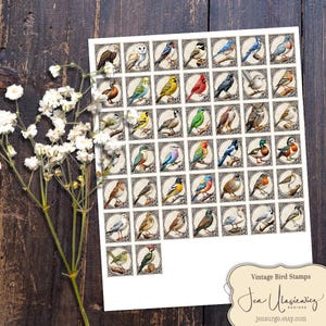 Vintage Bird Stamps digital collage sheet for crafts / junk journal / scrapbook / cards / altered art / mixed media / clipart