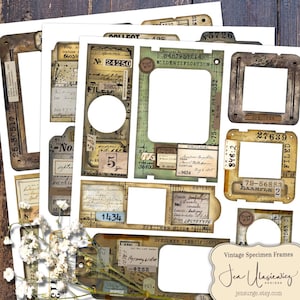 Pode incluir: Uma coleção de efêmeros de papel impresso com vários molduras de espécimes retangulares e quadradas com texturas envelhecidas e desgastadas. Os designs incluem etiquetas de identificação de estilo vintage, códigos numéricos e texto manuscrito em fundos bege, verdes e marrons.