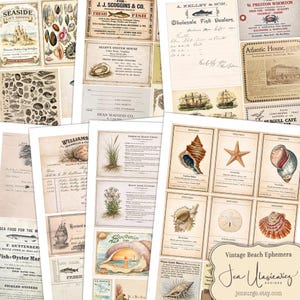 May include: A collection of vintage beach-themed ephemera. The collage features old advertisements, specimen cards of seashells and starfish, and illustrations of boats and beach scenes. The colour scheme is mainly beige, brown, and blue.