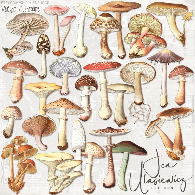 Vintage Mushrooms instant download ephemera pack, printable, digital collage, diary / junk journal, altered art, mixed media, clipart image 1