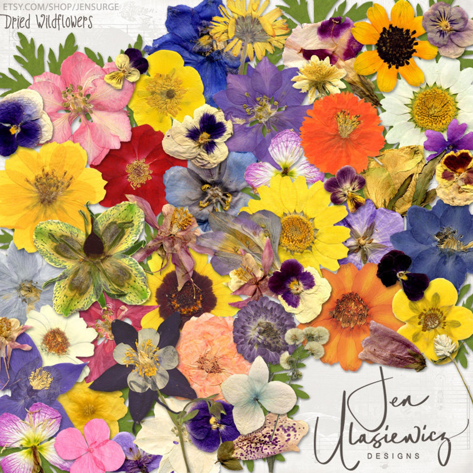 Dried Wildflowers Instant Download Printable Digital - Etsy