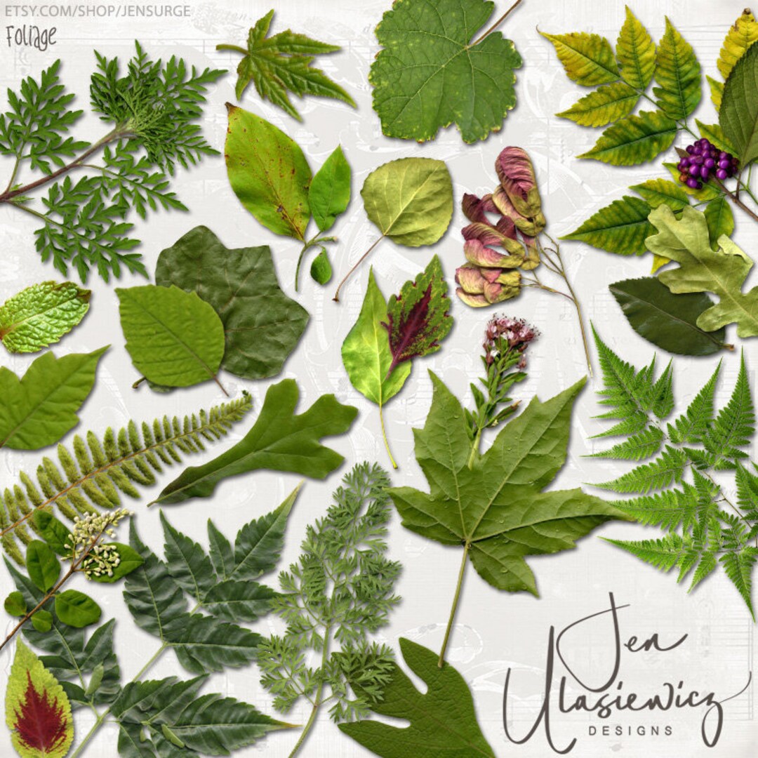 Foliage Instant Download, Printable, Digital Collage, Diary / Junk ...
